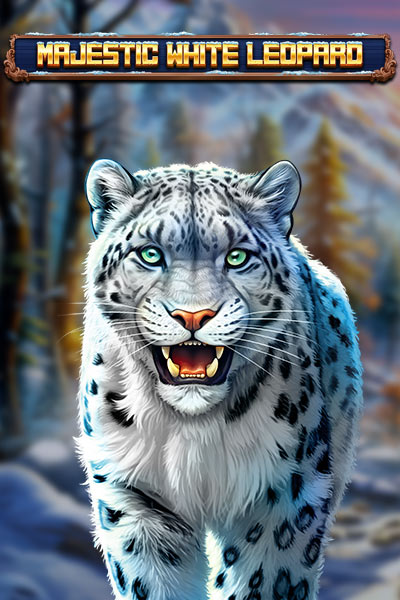 Majestic White Leopard